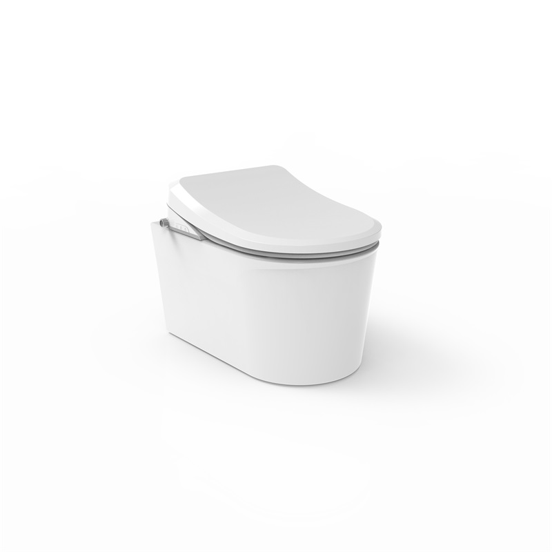 Electronic Bidet Seat