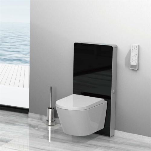 Smart bidet seat douche WC