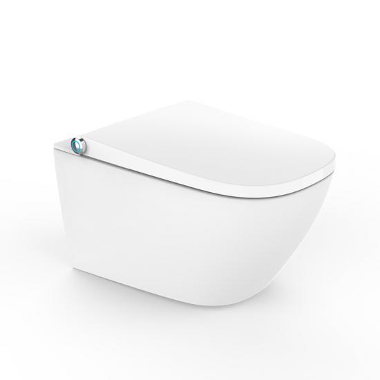 smart toilet