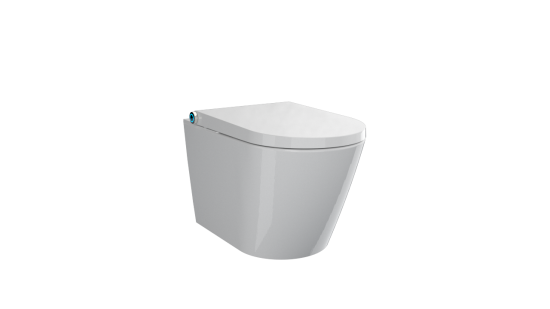 E410 smart toilet