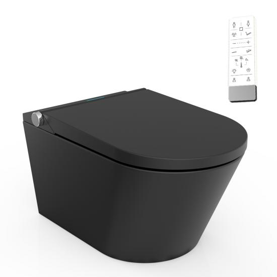 electronic  bidet toilet seat