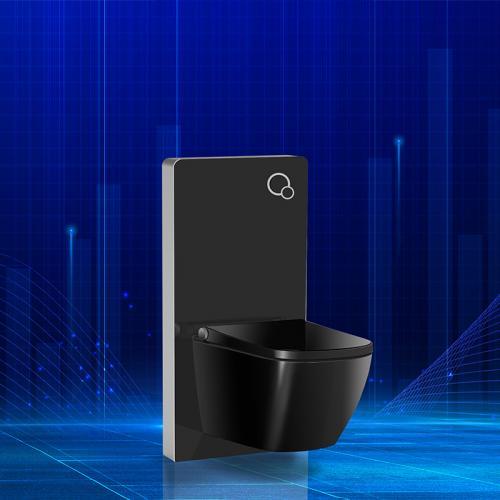 Popular Smart Toilet