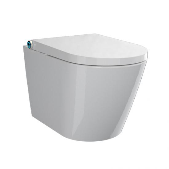 Integrated smart toilet