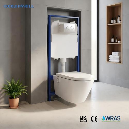 wall hung concealed cistern