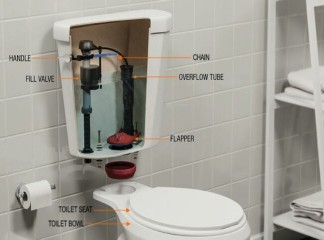 Что нужно знать о компонентах туалета
