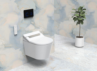 Крышка для унитаза Oceanwell Smart