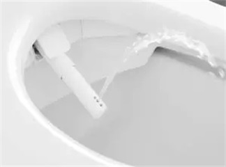 4 причины отказаться от туалетной бумаги и как ее не использовать
