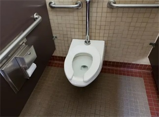 Причины, по которым в некоторых общественных туалетах используются U-образные кольца сидений