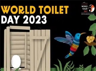 Что такое Всемирный день туалета?