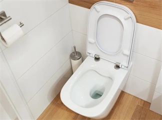 Являются ли съемные сиденья для унитазов секретом по-настоящему чистых туалетов?